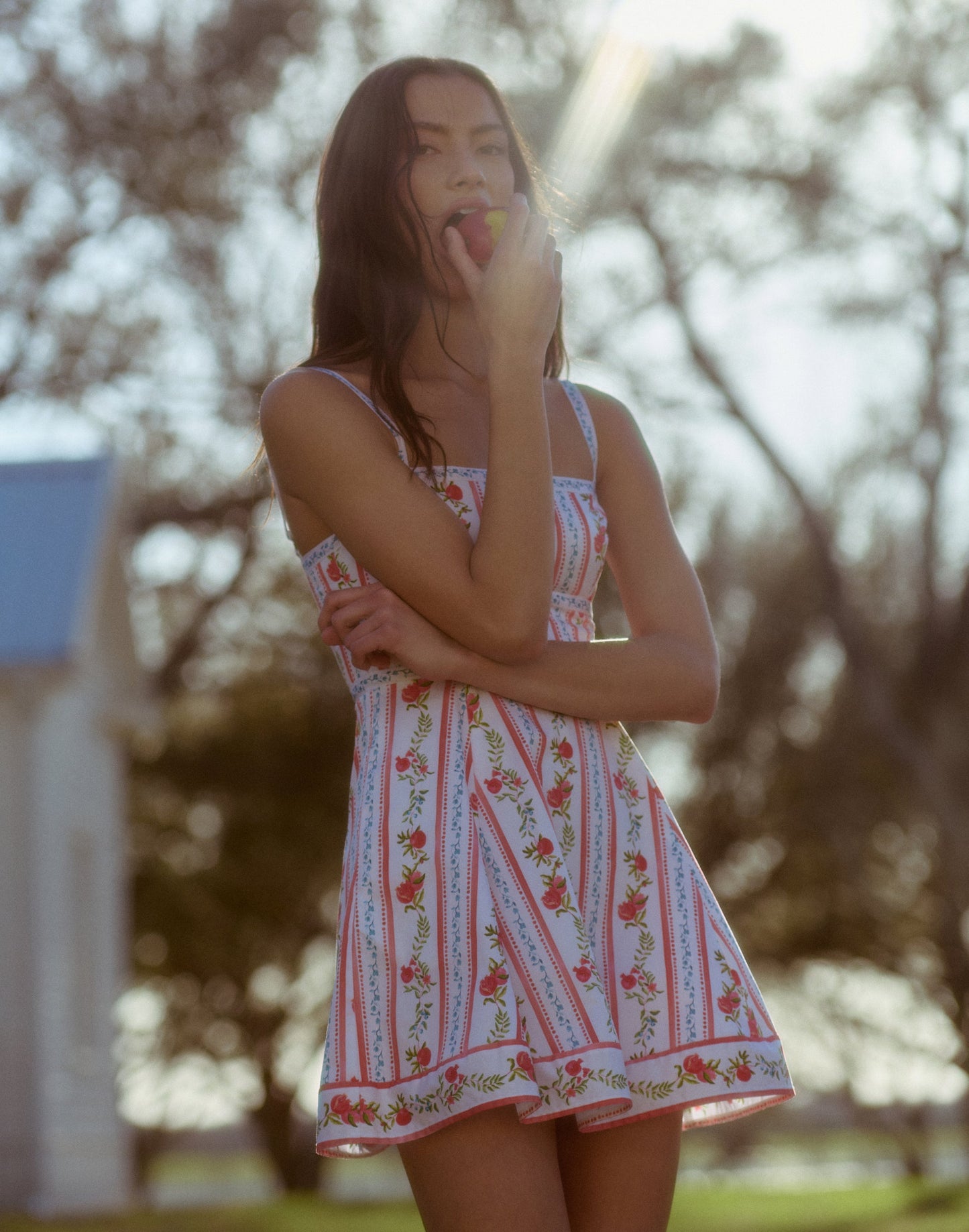 The Pomegranate Stripe Mini Dress