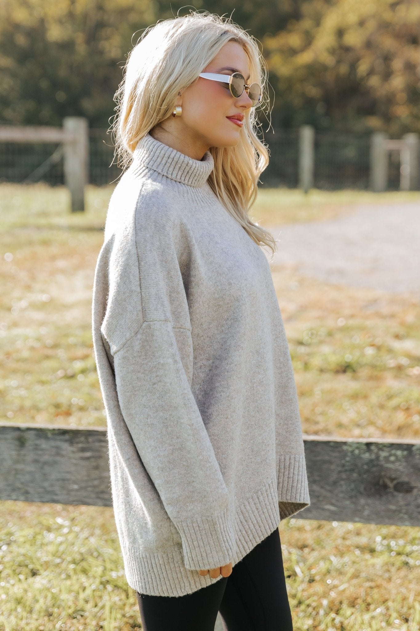 Pull à col roulé brossé Joanna - Moka