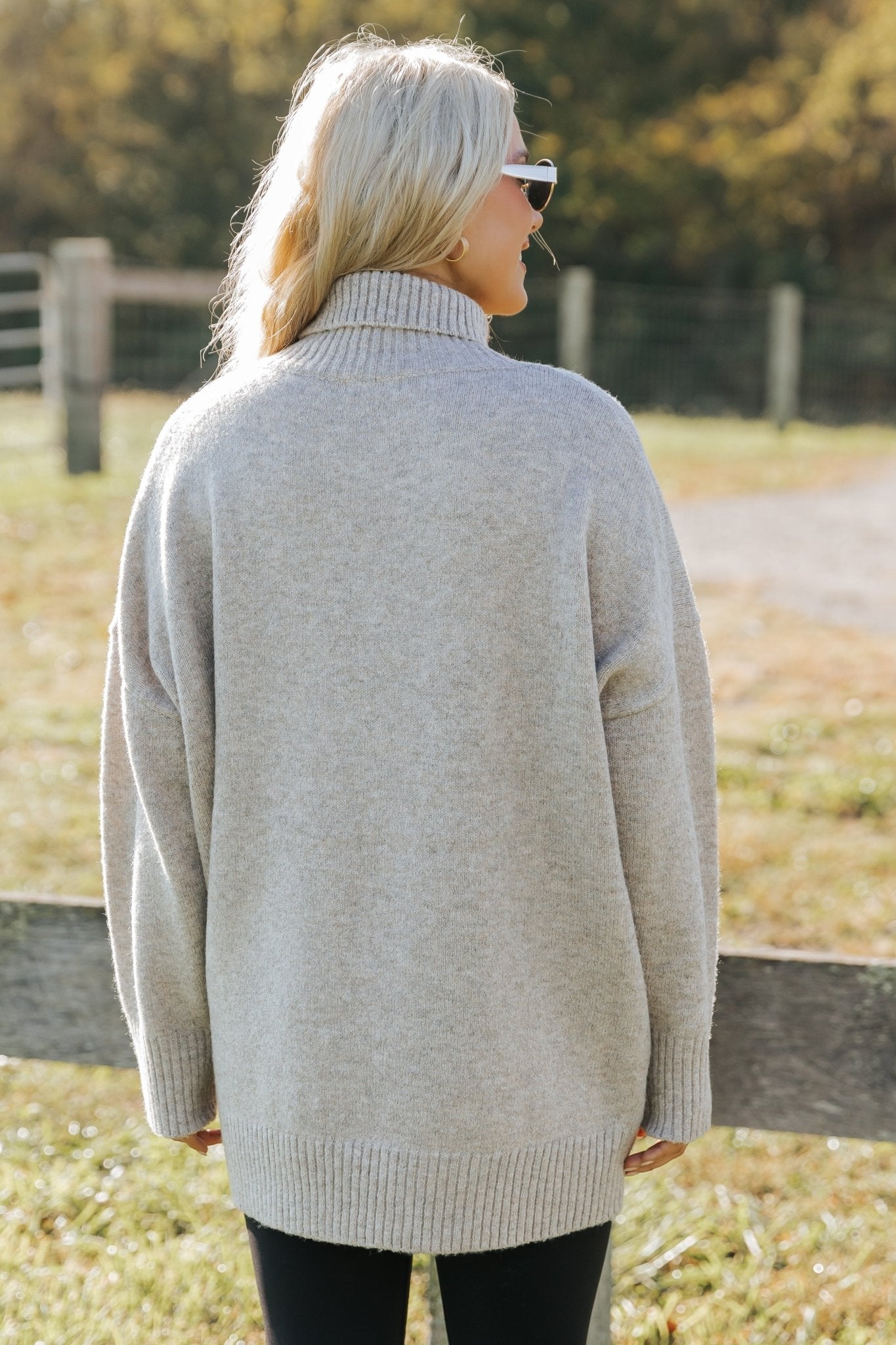 Pull à col roulé brossé Joanna - Moka