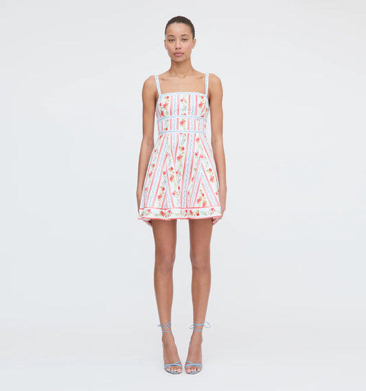The Pomegranate Stripe Mini Dress